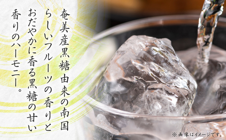 奄美黒糖焼酎 じょうご 25度 1800ml A100-001 黒糖焼酎 黒糖 焼酎 お酒 酒 アルコール 名水 さわやか やわらかい 有村商事 ふるさと納税 奄美市 おすすめ ランキング プレゼント ギフト