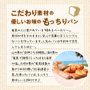 【晴れるベーカリー】おまかせ♪パンセット定期便 ~1年コース(12ヶ月)~ A032-T03