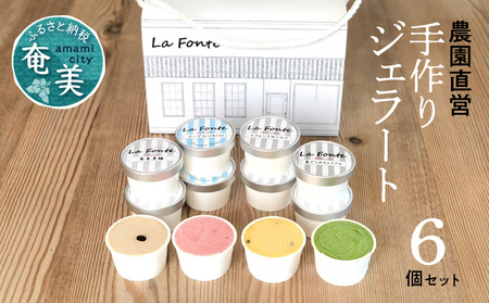 【 La Fonte 】 手づくり ジェラート 奄美 6個 セット A084-001 アイス フルーツジェラート パッションフルーツ マンゴー たんかん スモモ 奄美黒糖 海塩 ジェラートセット 手作り 純黒糖 冷凍便 冷凍 新鮮 甘い 美味しい お任せ LaFonteラフォンテ ふるさと納税 鹿児島 奄美市 おすすめ ランキング プレゼント ギフト