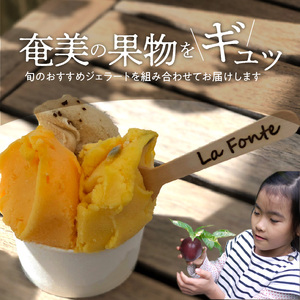 【 La Fonte 】 手づくり ジェラート 奄美 6個 セット A084-001 アイス フルーツジェラート パッションフルーツ マンゴー たんかん スモモ 奄美黒糖 海塩 ジェラートセット 手作り 純黒糖 冷凍便 冷凍 新鮮 甘い 美味しい お任せ LaFonteラフォンテ ふるさと納税 鹿児島 奄美市 おすすめ ランキング プレゼント ギフト