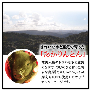 奄美島豚 あかりんとん ソーセージ 5種セット A008-002 ソーセージ 5種 詰め合わせ セット 肉 お肉 島豚 ブランド豚 ホワイト スモーク ジャンボフランク ボロニア ボンレスハム ハム ふっくら ジューシー BBQ ギフト 贈り物 プレゼント お取り寄せ 鹿児島 奄美大島 カイセイ ご当地 グルメ キャンプ飯 お弁当 おかず