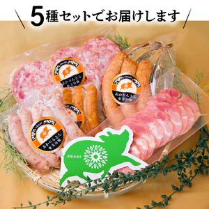 奄美島豚 あかりんとん ソーセージ 5種セット A008-002 ソーセージ 5種 詰め合わせ セット 肉 お肉 島豚 ブランド豚 ホワイト スモーク ジャンボフランク ボロニア ボンレスハム ハム ふっくら ジューシー BBQ ギフト 贈り物 プレゼント お取り寄せ 鹿児島 奄美大島 カイセイ ご当地 グルメ キャンプ飯 お弁当 おかず