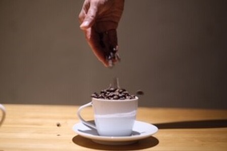 【人気の定期便 6ヶ月コース】自家栽培・自家焙煎【てるまに珈琲】スペシャルブレンドコーヒーギフトセット＜豆＞ A075-T02-01