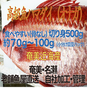高級魚「ハマダイ（オナガ）」切り身 500g（甘塩）奄美大島老舗鮮魚店が加工製造 A128-004 小分け 真空パック ハマダイ 高級魚 オナガ 白身 甘塩