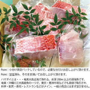 高級魚「ハマダイ（オナガ）」切り身 500g（甘塩）奄美大島老舗鮮魚店が加工製造 A128-004 小分け 真空パック ハマダイ 高級魚 オナガ 白身 甘塩