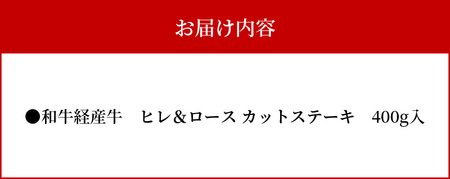 奄美マザービーフ ヒレ＆ロース カットステーキ A134-003 牛肉 奄美マザービーフ ロース カット ステーキ 鹿児島黒牛 マザービーフ 国産 内閣総理大臣賞受賞 お取り寄せグルメ 鹿児島県 奄美市