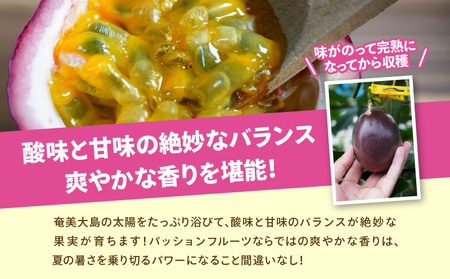 【 2026年 先行予約 分】 訳あり ！ 完熟 ！ 南の島奄美 の パッションフルーツ 家庭用 3kg （ 傷物 、 色むらあり 、 サイズ混合 ） A151-002-01 パッションフルーツ 完熟パッションフルーツ 訳アリ 果物 フルーツ 果実 南国フルーツ 美味しい おいしい 鹿児島県 鹿児島 甘い あまい 甘み 酸味 爽やか 完熟 Amami sun time farm ふるさと納税 奄美市 おすすめ ランキング プレゼント ギフト