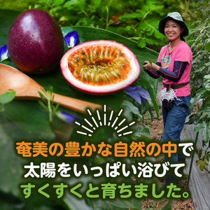 【 2026年先行予約 】奄美パッションフルーツ 0.8kg 家庭用（ サイズ混合 ）（ 8個前後 ） A135-001 パッションフルーツ 果物 フルーツ 果実 南国フルーツ 訳あり 訳アリ 先行予約 予約 受付 orietty's farm ふるさと納税 奄美市 おすすめ ランキング プレゼント ギフト