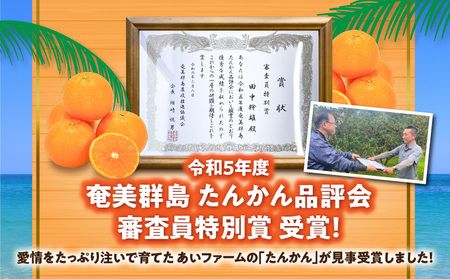 【 2025年先行 予約分 】【 高地 栽培 】産地 直送☆甘～い 奄美 たんかん 5kg A054-001 タンカン 果物 フルーツ 甘い 濃厚 産地直送 先行予約 特産品 奄美大島産 期間限定 あいファーム ふるさと納税 奄美市 おすすめ ランキング プレゼント ギフト