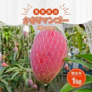 【2026年 先行予約】【 奄美産】 かさり マンゴー 贈答 用1kg A072-004 かさりマンゴー 完熟マンゴー 完熟 トロピカルフルーツ フルーツ トロピカル 甘い 先行受付 事前受付 事前予約 予約 受付 デザート 美味しい 贈答用 濃厚 ジューシー HARANAGA-FARM ふるさと納税 奄美市 おすすめ ランキング プレゼント ギフト