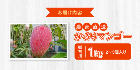 【2026年 先行予約】【 奄美産】 かさり マンゴー 贈答 用1kg A072-004 かさりマンゴー 完熟マンゴー 完熟 トロピカルフルーツ フルーツ トロピカル 甘い 先行受付 事前受付 事前予約 予約 受付 デザート 美味しい 贈答用 濃厚 ジューシー HARANAGA-FARM ふるさと納税 奄美市 おすすめ ランキング プレゼント ギフト