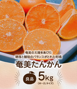 【 2025年 先行予約 】奄美タンカン 良品 5kg（ 2L ～ Mサイズ ）　A074-001 たんかん 果物 フルーツ 果実 甘い 濃厚 産地直送 先行受付 予約 受付 特産品 奄美大島産 期間限定 鹿児島 奄美 美味しい おいしい ジューシー 果汁 叶農園 ふるさと納税 奄美市 おすすめ ランキング プレゼント ギフト