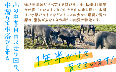 島育ち「 あま豚 」わいわいファミリー セット （ 加工品 ） A146-006 総菜 惣菜 肉 お肉 豚 豚肉 おつまみ おつまみセット ベーコンスライス ベーコンブロック コールドポーク ベーコン ハンバーグ 手作りハンバーグ 燻製 樽燻製 くんせい 島育ち 奄美大島産 晩酌 おうち飲み お家時間 美味しい 無添加 保存料不使用 冷凍 AMAMIMAMA ふるさと納税 奄美市 おすすめ ランキング プレゼント ギフト