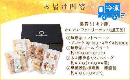 島育ち「 あま豚 」わいわいファミリー セット （ 加工品 ） A146-006 総菜 惣菜 肉 お肉 豚 豚肉 おつまみ おつまみセット ベーコンスライス ベーコンブロック コールドポーク ベーコン ハンバーグ 手作りハンバーグ 燻製 樽燻製 くんせい 島育ち 奄美大島産 晩酌 おうち飲み お家時間 美味しい 無添加 保存料不使用 冷凍 AMAMIMAMA ふるさと納税 奄美市 おすすめ ランキング プレゼント ギフト