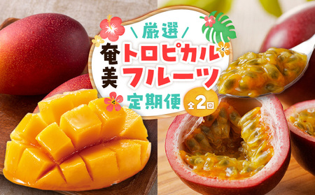 【 全2回 】 厳選 ！ 奄美 トロピカルフルーツ 定期便 A000-T2402 定期 フルーツ 果物 果実 フルーツ定期便 果物定期便 奄美トロピカルフルーツ 旬 旬フルーツ パッションフルーツ パッション 完熟パッションフルーツ 完熟パッション ワイワイファーム 農薬不使用 完熟 マンゴー 芒果 まんごー 完熟マンゴー 完熟芒果 HARANAGA-FARM 南国 自然の恵み 堪能 贅沢 ぜいたく ジューシー 美味しい おいしい デザート コラボ定期便 ふるさと納税 奄美市 おすすめ ランキング プレゼント ギフト