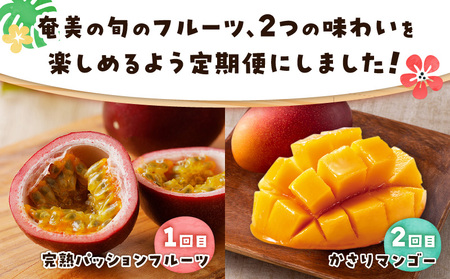 【 全2回 】 厳選 ！ 奄美 トロピカルフルーツ 定期便 A000-T2402 定期 フルーツ 果物 果実 フルーツ定期便 果物定期便 奄美トロピカルフルーツ 旬 旬フルーツ パッションフルーツ パッション 完熟パッションフルーツ 完熟パッション ワイワイファーム 農薬不使用 完熟 マンゴー 芒果 まんごー 完熟マンゴー 完熟芒果 HARANAGA-FARM 南国 自然の恵み 堪能 贅沢 ぜいたく ジューシー 美味しい おいしい デザート コラボ定期便 ふるさと納税 奄美市 おすすめ ランキング プレゼント ギフト