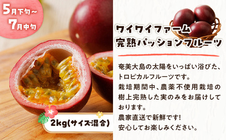 【 全2回 】 厳選 ！ 奄美 トロピカルフルーツ 定期便 A000-T2402 定期 フルーツ 果物 果実 フルーツ定期便 果物定期便 奄美トロピカルフルーツ 旬 旬フルーツ パッションフルーツ パッション 完熟パッションフルーツ 完熟パッション ワイワイファーム 農薬不使用 完熟 マンゴー 芒果 まんごー 完熟マンゴー 完熟芒果 HARANAGA-FARM 南国 自然の恵み 堪能 贅沢 ぜいたく ジューシー 美味しい おいしい デザート コラボ定期便 ふるさと納税 奄美市 おすすめ ランキング プレゼント ギフト