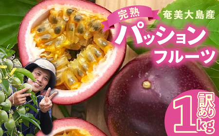 【 2026年 先行予約 分】 訳あり ！ 完熟 ！ 南の島奄美 の パッションフルーツ 家庭用 1kg （傷物、色むらあり、サイズ混合） A151-002-02 パッションフルーツ 完熟パッションフルーツ 果物 フルーツ 訳アリ 果実 南国フルーツ 美味しい おいしい 鹿児島県 鹿児島 甘い あまい 甘み 酸味 爽やか 完熟 Amami sun time farm ふるさと納税 奄美市 おすすめ ランキング プレゼント ギフト