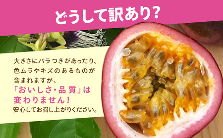 【 2026年 先行予約 分】 訳あり ！ 完熟 ！ 南の島奄美 の パッションフルーツ 家庭用 1kg （傷物、色むらあり、サイズ混合） A151-002-02 パッションフルーツ 完熟パッションフルーツ 果物 フルーツ 訳アリ 果実 南国フルーツ 美味しい おいしい 鹿児島県 鹿児島 甘い あまい 甘み 酸味 爽やか 完熟 Amami sun time farm ふるさと納税 奄美市 おすすめ ランキング プレゼント ギフト