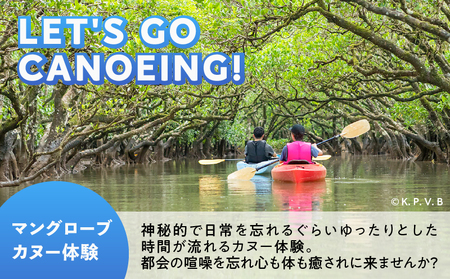 奄美市 に 泊まる ふるさと納税 旅行 クーポン【 15,000円 分 】 A184-005 割引券 15,000円分 ツアー 電子クーポン 宿泊 チケット 観光 国内 九州 鹿児島県トラベル 奄美旅行 奄美観光 日本空輸 おすすめ ランキング プレゼント ギフト