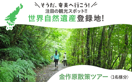金作原 散策 ツアー A183-001 散策ツアー アウトドア 自然 観光 観光スポット チケット 体験チケット 金作原原生林 原生林 散策路 四季 花 野鳥 昆虫 ゆったり のんびり 注目 アマミュゼ スローガイド奄美 ふるさと納税 鹿児島県 奄美市 おすすめ ランキング プレゼント ギフト