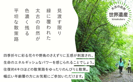 金作原 散策 ツアー A183-001 散策ツアー アウトドア 自然 観光 観光スポット チケット 体験チケット 金作原原生林 原生林 散策路 四季 花 野鳥 昆虫 ゆったり のんびり 注目 アマミュゼ スローガイド奄美 ふるさと納税 鹿児島県 奄美市 おすすめ ランキング プレゼント ギフト