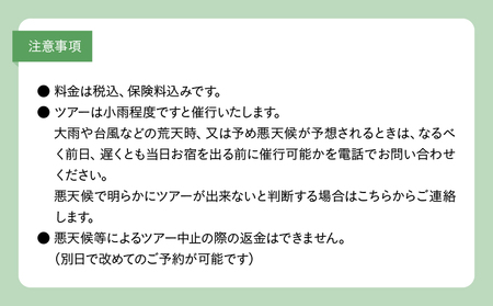 金作原 散策 ツアー A183-001 散策ツアー アウトドア 自然 観光 観光スポット チケット 体験チケット 金作原原生林 原生林 散策路 四季 花 野鳥 昆虫 ゆったり のんびり 注目 アマミュゼ スローガイド奄美 ふるさと納税 鹿児島県 奄美市 おすすめ ランキング プレゼント ギフト
