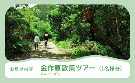 金作原 散策 ツアー A183-001 散策ツアー アウトドア 自然 観光 観光スポット チケット 体験チケット 金作原原生林 原生林 散策路 四季 花 野鳥 昆虫 ゆったり のんびり 注目 アマミュゼ スローガイド奄美 ふるさと納税 鹿児島県 奄美市 おすすめ ランキング プレゼント ギフト