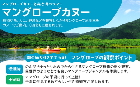 マングローブ カヌー と 森 と 滝 の ツアー A183-002 少人数 マングローブカヌー 自然 体験 体験チケット 生き物観察 観察 植物 魚 カニ 野鳥 のんびり ゆったり 癒し 河口 モダマ フナンギョの滝 森と滝のツアー 人気 アマミュゼ スローガイド奄美 ふるさと納税 鹿児島県 奄美市 おすすめ ランキング プレゼント ギフト