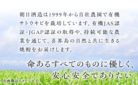 奄美黒糖焼酎 「 壱乃醸朝日 ・ 飛乃流朝日 」 25度 720ml 各 酒 6本 × 計12本 セット A021-037-01 アルコール お酒 焼酎 黒糖焼酎 本格焼酎 フルーティー お湯割り 安田商店 ふるさと納税 鹿児島 奄美市 おすすめ ランキング プレゼント ギフト