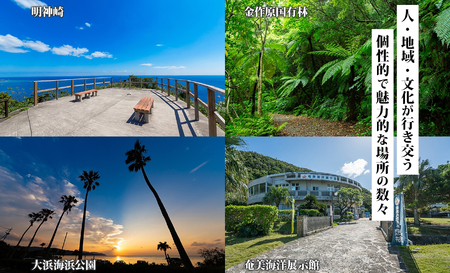 【 奄美大島 ツアー 】 鹿児島県 奄美市 の対象施設で使える JTA 旅行 クーポン （90,000円分） A188-002 旅行クーポン 90,000円分 海 自然 南国 島 離島 絶景 観光 ホテル 旅館 老舗 高級 トラベル チケット 家族 カップル 宿泊 予約 おすすめ 父の日 母の日 旅行券 宿泊券 ふるさと納税 鹿児島県 ランキング プレゼント ギフト