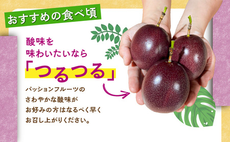 【 2026年 先行予約 】 パッションフルーツ 家庭用 約1kg A194-001-01 フルーツ 果物 南国 デザート 期間限定 限定 自然 美味しい カクテル ヨーグルト サラダ 奄美都農園 ふるさと納税 鹿児島 奄美市 おすすめ ランキング プレゼント ギフト