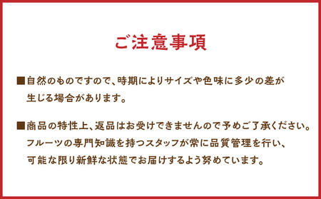【 2026年 先行予約 】 パッションフルーツ 家庭用 約1kg A194-001-01 フルーツ 果物 南国 デザート 期間限定 限定 自然 美味しい カクテル ヨーグルト サラダ 奄美都農園 ふるさと納税 鹿児島 奄美市 おすすめ ランキング プレゼント ギフト
