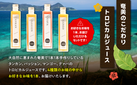 奄美 ジュース（ グァバ ）＆ アンダギー セット A191-003-04 サーターアンダギー 菓子 お菓子 フルーツ フルーツジュース 果汁飲料 飲料 フルーツ飲料 ひと口サイズ プレーン よもぎ きなこ ココア 黒糖 ソウルフード トロピカルジュース 果物 おやつ サクサク お土産 あんだぎや ふるさと納税 鹿児島 奄美市 おすすめ ランキング プレゼント ギフト