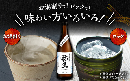 奄美でしか造れない 黒糖焼酎 弥生 波照間無濾過 25度 720ml（ 箱入 ） A185-012-01 焼酎 酒 お酒 アルコール 黒糖 本格焼酎 河内白麹 常圧蒸留 波照間黒糖 ロック 水割り お湯割り 美味しい 川崎商店 ふるさと納税 鹿児島 奄美市 おすすめ ランキング プレゼント ギフト