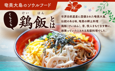 【 奄美 の 郷土料理 ！ 】鶏飯（けいはん）2人前 真空パック冷凍 A196-001 伝統 スープ 真空パック 鶏 鶏肉 奄美冷凍鶏飯 ふるさと納税 鹿児島 奄美 おすすめ ランキング プレゼント ギフト