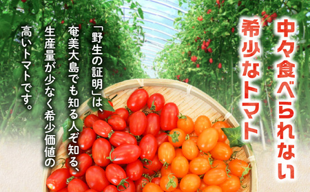 【 2026年 先行予約 】亜熱帯 トマト「 野生 の 証明 」約800g（ 約400g × 2P ） A021-002-01 甘い 野菜 奄美 フルーツトマト ミニトマト 予約 事前受付 受付 事前申込 おやつ おつまみ 南国 安田商店 ふるさと納税 奄美市 おすすめ ランキング プレゼント ギフト
