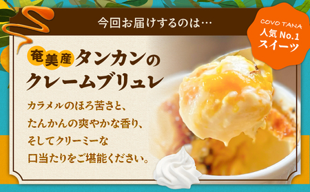 【 奄美 の 保護猫 支援（ 保護猫フード 10日分 ）】＋ 奄美産 タンカン の クレーム ブリュレ （ 6個 入り ） A071-002-02 菓子 スイーツ クリームブリュレ デザート 保護猫支援 保護猫プロェクト cafeCOVOTANA ふるさと納税 鹿児島 奄美市 おすすめ ランキング プレゼント ギフト