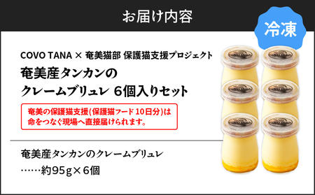 【 奄美 の 保護猫 支援（ 保護猫フード 10日分 ）】＋ 奄美産 タンカン の クレーム ブリュレ （ 6個 入り ） A071-002-02 菓子 スイーツ クリームブリュレ デザート 保護猫支援 保護猫プロェクト cafeCOVOTANA ふるさと納税 鹿児島 奄美市 おすすめ ランキング プレゼント ギフト