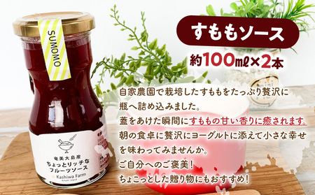 奄美大島産 ちょっと リッチ な フルーツソース 5本 セット（ すもも ＆ パッションフルーツ ） A092-008 ソース 果物 フルーツ 果実 加工食品 加工品 南国フルーツ ヨーグルト 朝食 おやつ 豊潤な香り 甘い 自家農園 kashiwa farm ふるさと納税 奄美市 おすすめ ランキング プレゼント ギフト