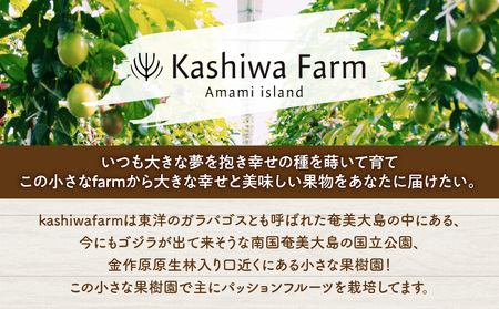 奄美大島産 ちょっと リッチ な フルーツソース 5本 セット（ すもも ＆ パッションフルーツ ） A092-008 ソース 果物 フルーツ 果実 加工食品 加工品 南国フルーツ ヨーグルト 朝食 おやつ 豊潤な香り 甘い 自家農園 kashiwa farm ふるさと納税 奄美市 おすすめ ランキング プレゼント ギフト