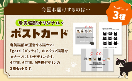 【 奄美 の 保護猫支援 （ 保護猫 フード 10日分 ）】 ＋ ポストカード 3枚 セット A071-006 お手紙 猫デザイン 3種 オリジナルポストカード 保護猫プロジェクト cafeCOVOTANA ふるさと納税 鹿児島 奄美市 おすすめ ランキング プレゼント ギフト