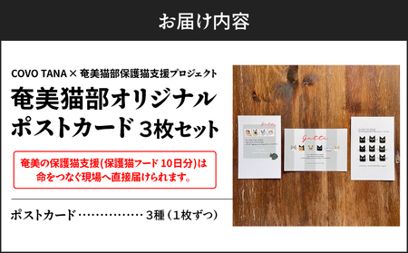 【 奄美 の 保護猫支援 （ 保護猫 フード 10日分 ）】 ＋ ポストカード 3枚 セット A071-006 お手紙 猫デザイン 3種 オリジナルポストカード 保護猫プロジェクト cafeCOVOTANA ふるさと納税 鹿児島 奄美市 おすすめ ランキング プレゼント ギフト