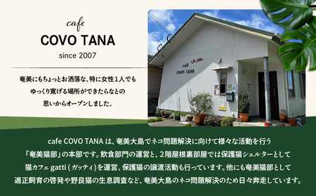 【 奄美 の 保護猫支援 ( ワクチン 代 )】 + ポストカード 3枚 セット A071-007 お手紙 猫デザイン 3種 オリジナルポストカード 保護猫プロジェクト cafeCOVOTANA ふるさと納税 鹿児島 奄美市 おすすめ ランキング プレゼント ギフト