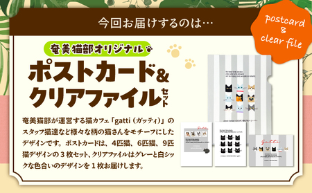 【 奄美 の 保護猫支援 （ 保護猫 フード 10日分 ）】 ＋ ポストカード ＆ クリアファイル セット A071-008 お手紙 猫デザイン 3種 オリジナルポストカード  A4サイズクリアファイル 保護猫プロジェクト cafeCOVOTANA ふるさと納税 鹿児島 奄美市 おすすめ ランキング プレゼント ギフト