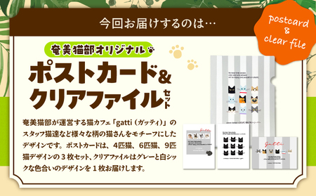 【 奄美 の 保護猫支援 （ ワクチン 代 ）】 ＋ ポストカード ＆ クリアファイル セット A071-009 お手紙 猫デザイン 3種 オリジナルポストカード A4サイズクリアファイル 保護猫プロジェクト cafeCOVOTANA ふるさと納税 鹿児島 奄美市 おすすめ ランキング プレゼント ギフト