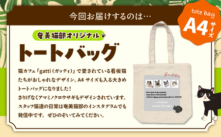 【 奄美 の 保護猫支援 （ ワクチン代 ）】 ＋ A4 トートバッグ A071-013 バッグ 鞄 カバン かばん A4トートバッグ アマミノクロウサギ 保護猫プロジェクト cafeCOVOTANA ふるさと納税 鹿児島 奄美市 おすすめ ランキング プレゼント ギフト