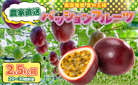 農家直送 パッションフルーツ 2.5kg箱 家庭用（ サイズ混合 ） A201-001 フルーツ 果物 果実 トロピカルフルーツ 期間限定 限定 受賞 銅賞 甘酸っぱい 美味しい おいしい とみた農園 ふるさと納税 鹿児島 奄美市 おすすめ ランキング プレゼント ギフト