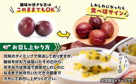 農家直送 パッションフルーツ 2.5kg箱 家庭用（ サイズ混合 ） A201-001 フルーツ 果物 果実 トロピカルフルーツ 期間限定 限定 受賞 銅賞 甘酸っぱい 美味しい おいしい とみた農園 ふるさと納税 鹿児島 奄美市 おすすめ ランキング プレゼント ギフト