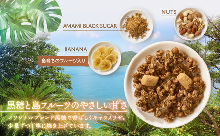 Amami フルーツ グラノーラ 約 200g 黒糖 保存料 無添加 A198-001 フルーツグラノーラ 加工食品 加工品 キャラメリゼ 島フルーツ 果物 果実 Plumeri Cafe ふるさと納税 鹿児島 奄美市 おすすめ ランキング プレゼント ギフト